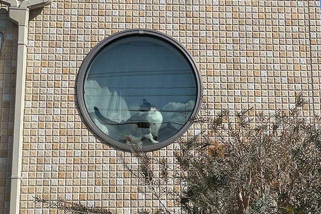 手続き完了